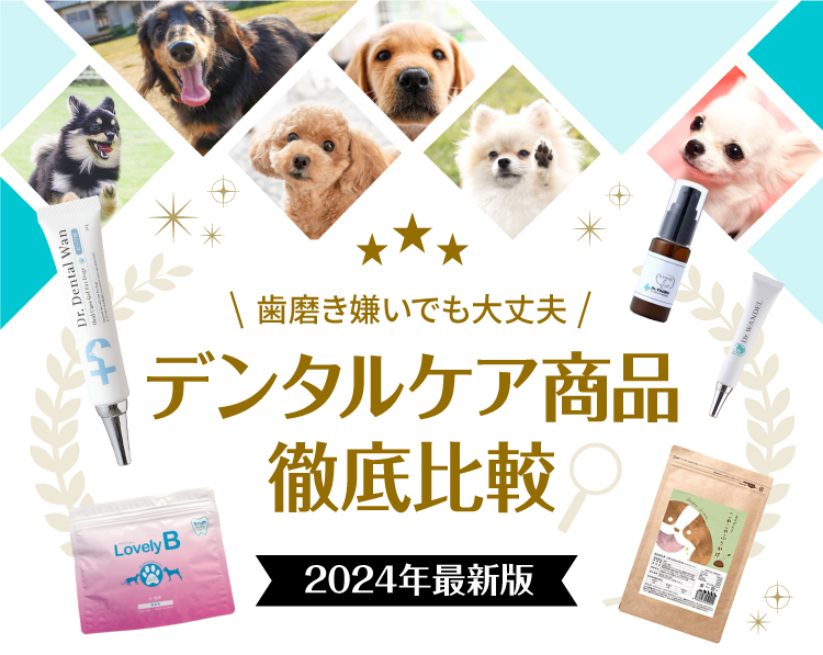 愛犬のデンタルケアアイテム《決定戦》
